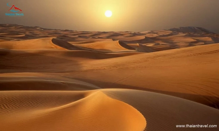 Khám phá Sa mạc Safari Dubai: Hành trình kỳ bí giữa lòng sa mạc Arab