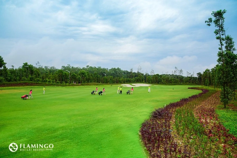 Khám phá Sân golf Đại Lải: Điểm đến đẳng cấp tại Vĩnh Phúc