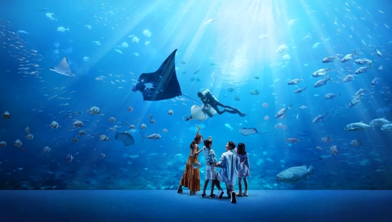 Khám phá Sea Aquarium Singapore: Thủy cung lớn nhất thế giới