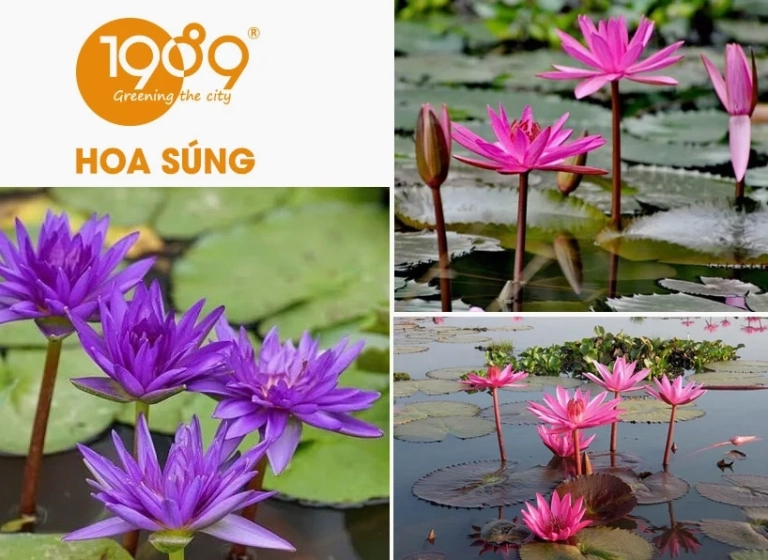 Khám Phá Thế Giới: Những Kỳ Quan Thiên Nhiên Tuyệt Mỹ Nhất