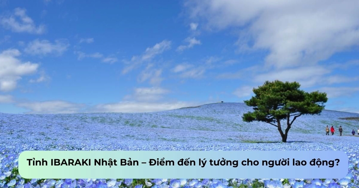 Khám phá tỉnh Ibaraki Nhật Bản: Cơ hội và trải nghiệm đáng giá