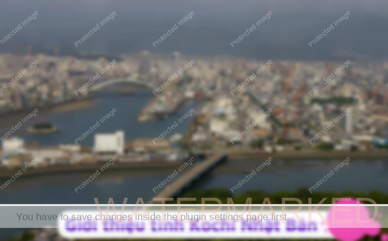 Khám Phá Tỉnh Kochi Nhật Bản: Điểm Đến Hấp Dẫn Cho Lao Động và Du Lịch