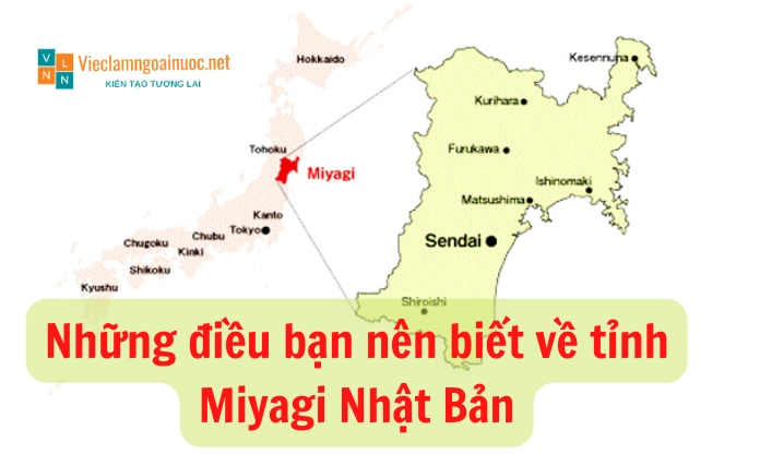 Khám phá Tỉnh Miyagi Nhật Bản: Điểm đến lý tưởng cho lao động và du lịch