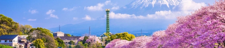 Khám phá tỉnh Shizuoka: Viên ngọc ẩn với núi Phú Sĩ và văn hóa độc đáo