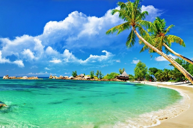 Khám phá tour Long An: Làng Nổi Tân Lập và Thiền Viện Trúc Lâm Chánh Giác