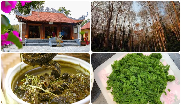 Khám Phá Tương Dương Nghệ An Tiềm Năng Du Lịch Sinh Thái Văn Hóa Tâm Linh