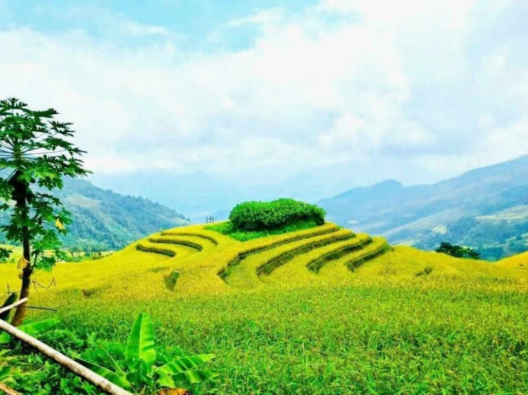 Khám phá vẻ đẹp bình yên của Khuổi My Hà Giang mùa lúa chín