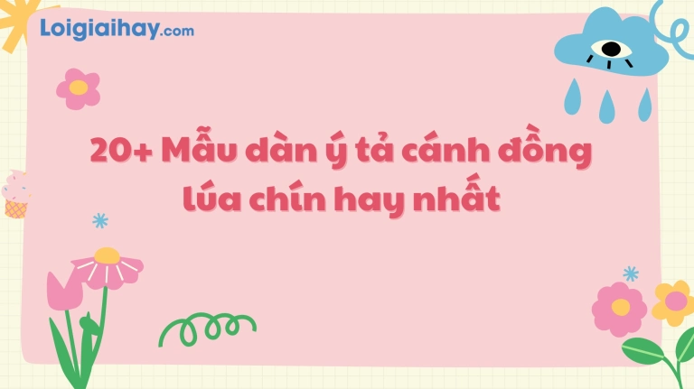 Khám phá vẻ đẹp cánh đồng lúa quê hương