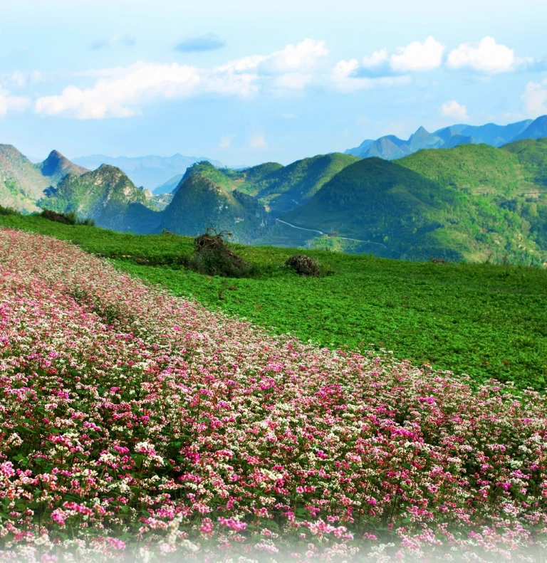 Khám phá vẻ đẹp hùng vĩ và văn hóa độc đáo của Cao nguyên đá Đồng Văn Hà Giang
