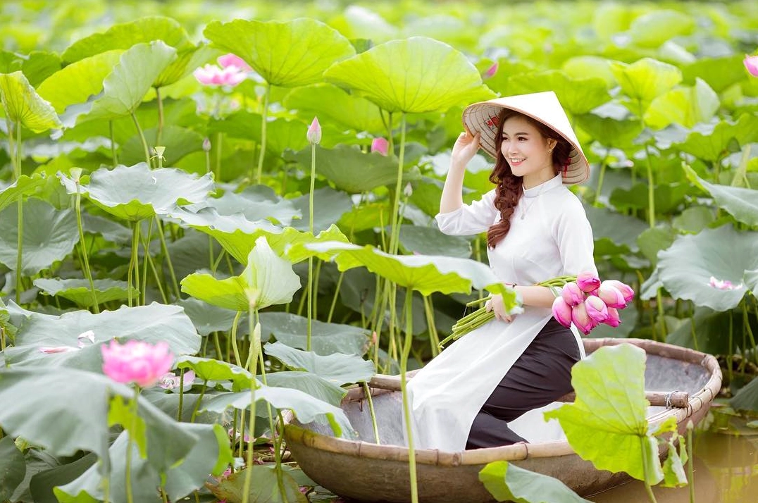 Khám Phá Vẻ Đẹp Ngất Ngây Của 12 Đầm Sen Tuyệt Sắc Tại Việt Nam
