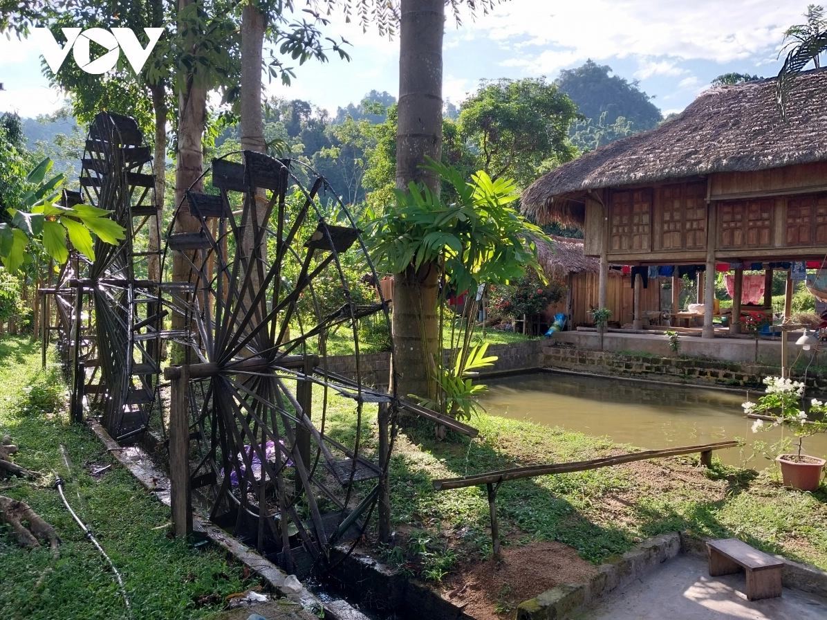 Khám phá vẻ đẹp rừng Hà Giang và tiềm năng du lịch bền vững
