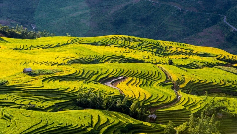Khám phá Y Tý 3 ngày 2 đêm: Hành trình săn mây và mùa vàng Lào Cai