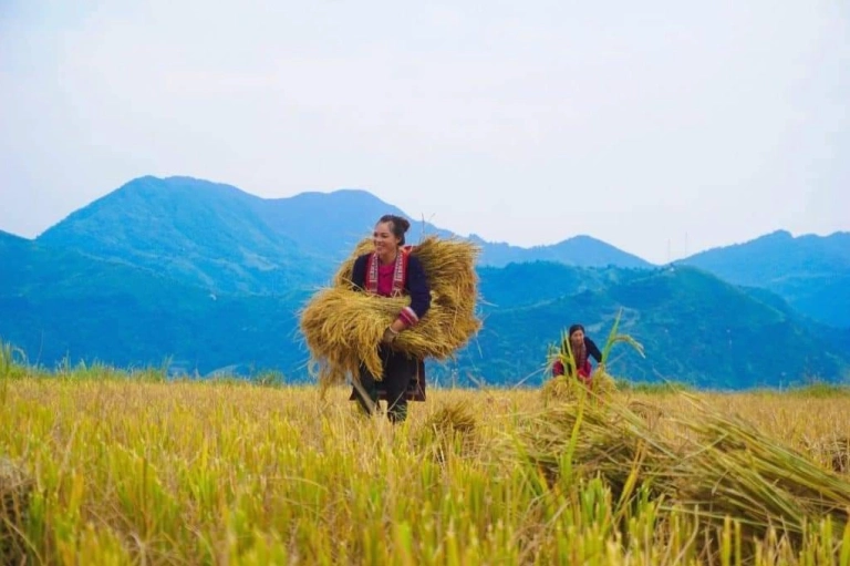 Khám phá Yên Bái 2 ngày 1 đêm: Lịch trình chi tiết và những trải nghiệm đáng nhớ