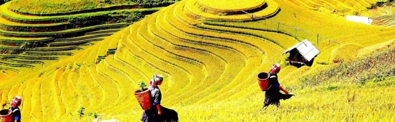 Khám Phá Yên Bái: Các Điểm Du Lịch Nổi Tiếng Hấp Dẫn Bạn Không Nên Bỏ Lỡ