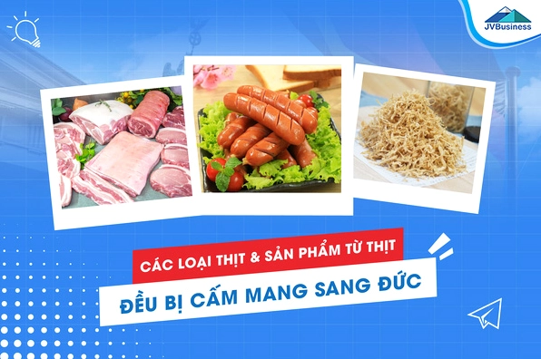 Không được mang gì sang Đức 2026: Cẩm nang nhập cảnh toàn diện