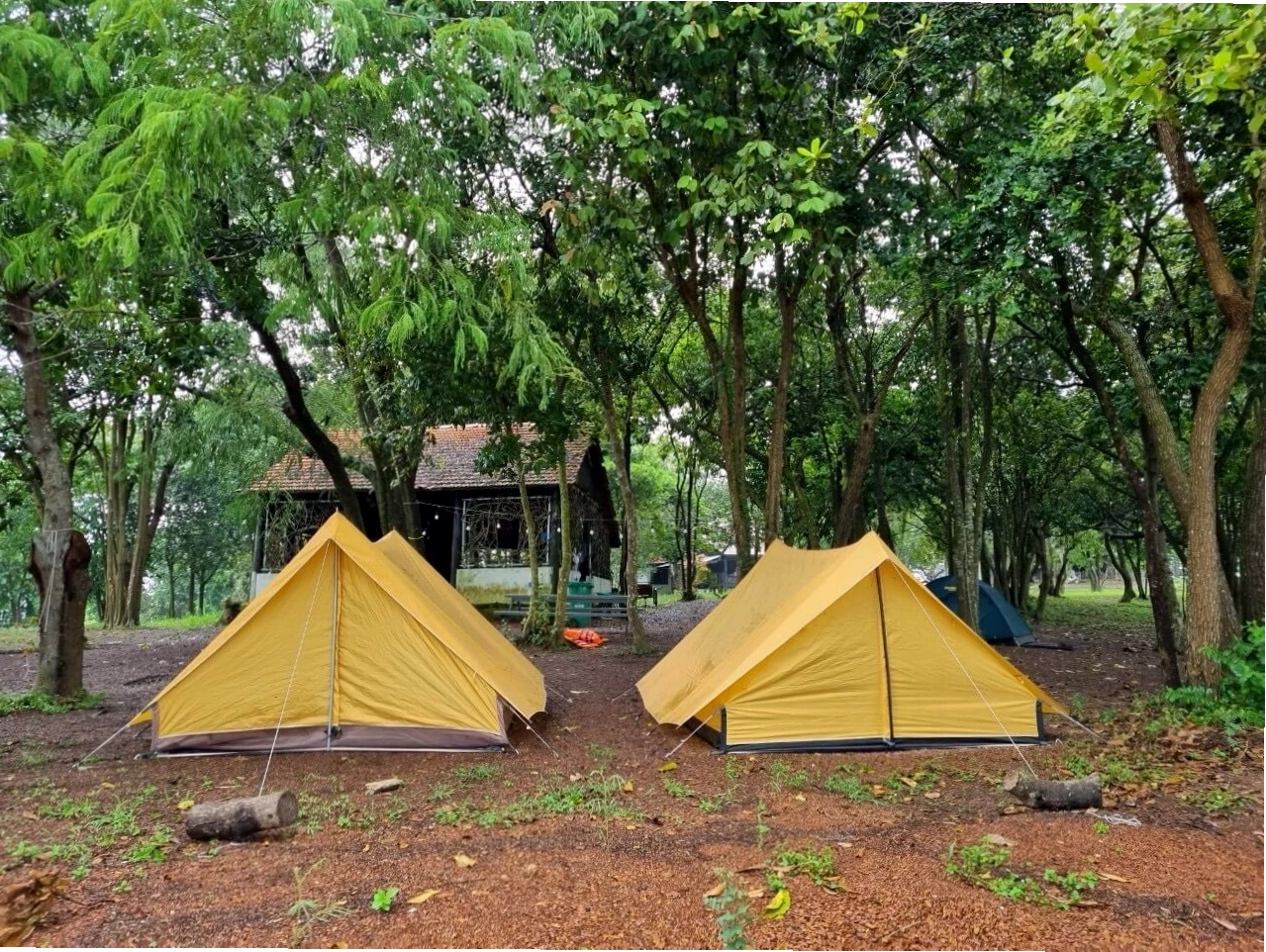 Không gian nhà hàng tại Đảo Cao Minh