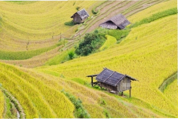 Không gian thanh tịnh bên trong khuôn viên Đền Đông Cuông