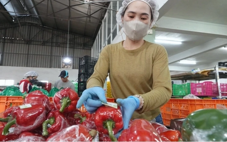 Không gian thiên nhiên trong lành tại Lâm Đồng, một phần của Bản Giao Hưởng Xanh