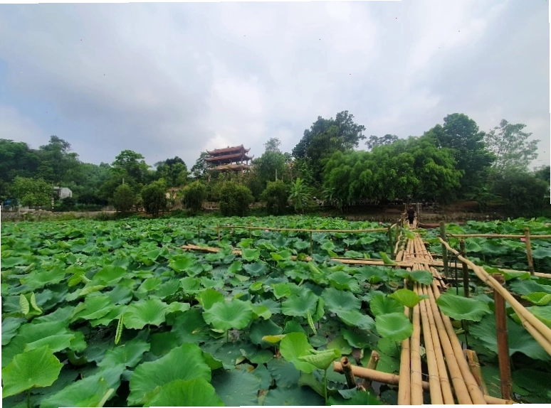 Không gian thơ mộng tại Đầm Sen 86 với tiểu cảnh tre nứa