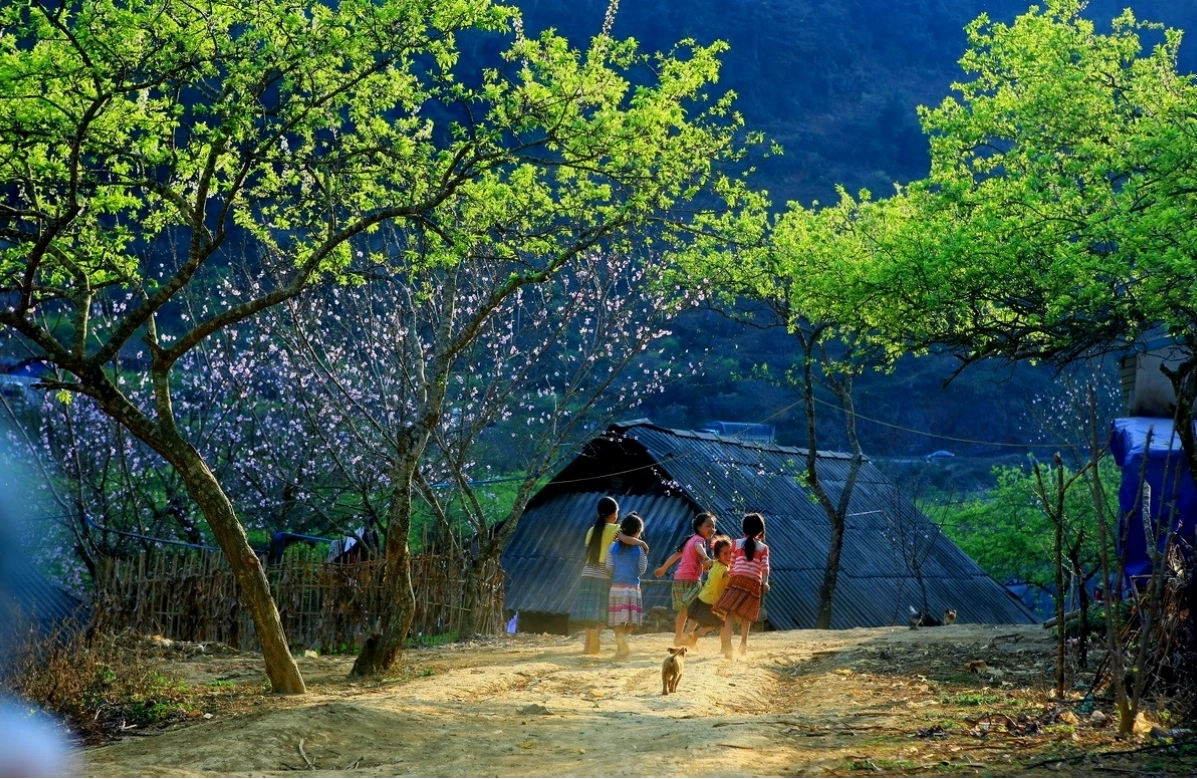 Không gian vườn và tiện nghi phòng tại Plum Hill