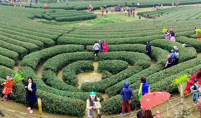 Không gian vườn xanh mát tại Plum Hill Mộc Châu