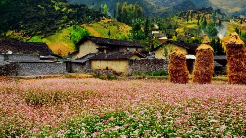 Không gian yên bình tại Thung lũng Sủng Là, Hà Giang