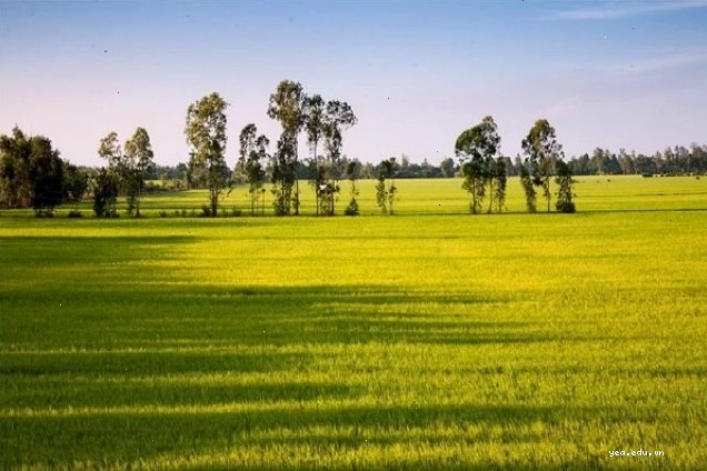 Không gian yên tĩnh tại một khách sạn Vĩnh Long
