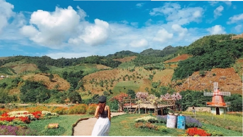Khu du lịch Mộc Châu Happy Land với những thảm hoa rực rỡ