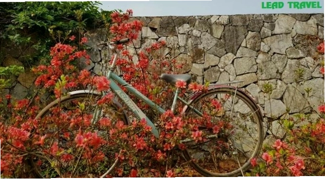 Khu nghỉ dưỡng an lạc ecofarm kim bôi, hòa bình nhìn từ xa
