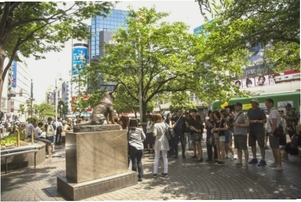 Khu Shibuya náo nhiệt