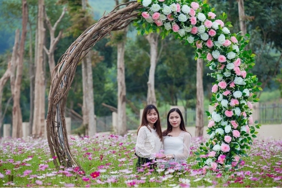 Khu vực nghỉ chân được bài trí lãng mạn tại Thung lũng hoa Phủ Quỳ