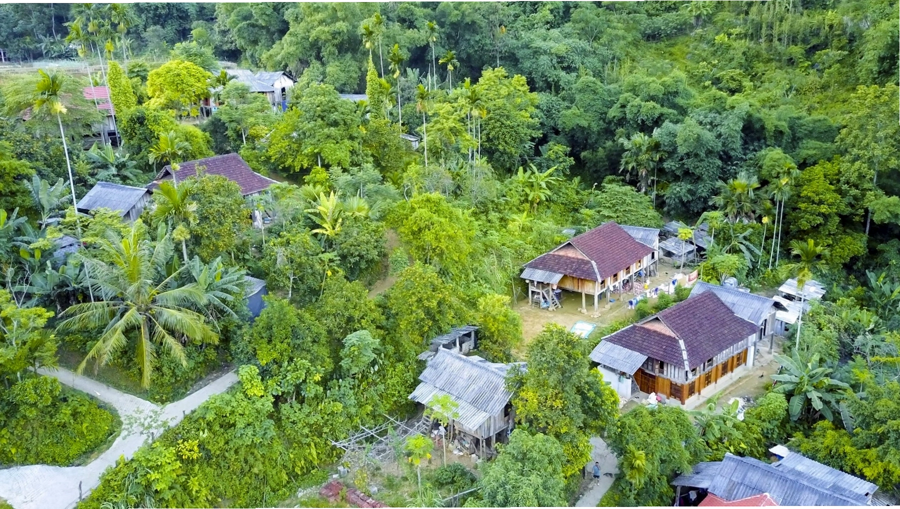 Khu vực trung tâm rừng Cúc Phương