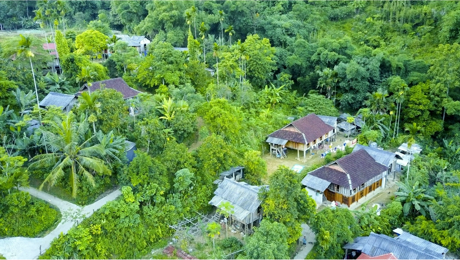 Khu vực trung tâm rừng (trung tâm Bống)