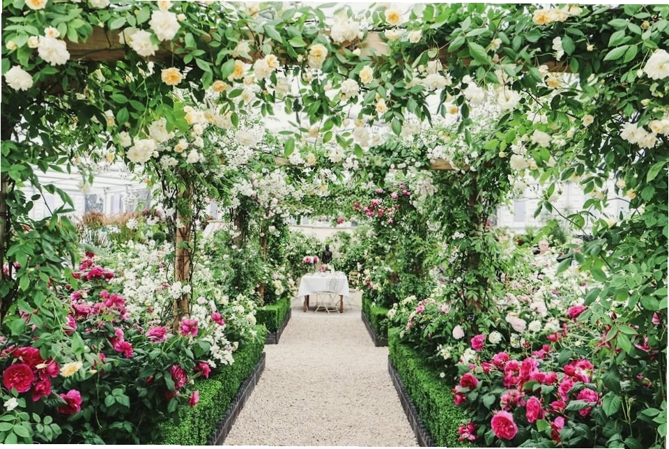 Khu vườn rực rỡ tại Chelsea Flower Show