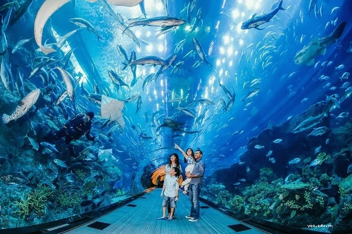 Khung cảnh ấn tượng bên trong Thủy cung Sea Life Thái Lan