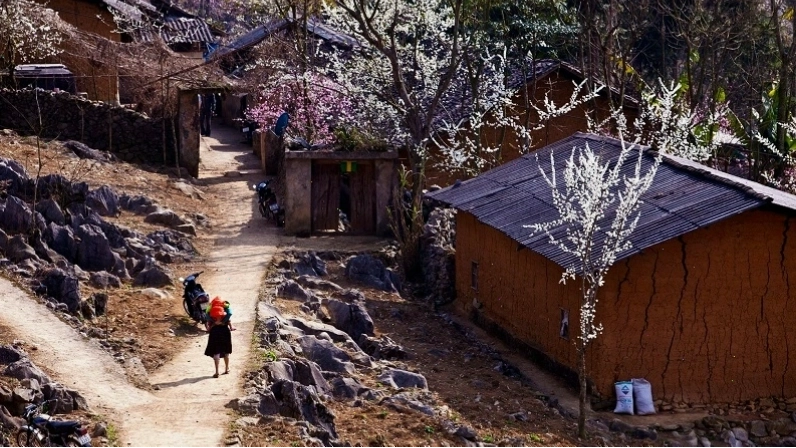 Khung cảnh bình yên tại Làng Thiên Hương Đồng Văn với những ngôi nhà cổ