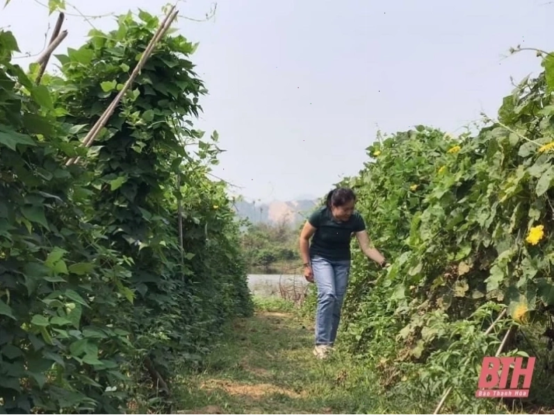 Khung cảnh bình yên và nếp sống văn minh tại thủ đô Viêng Chăn, Lào