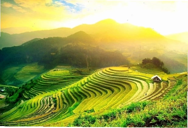 Khung cảnh Đà Lạt chìm trong màn sương mờ ảo