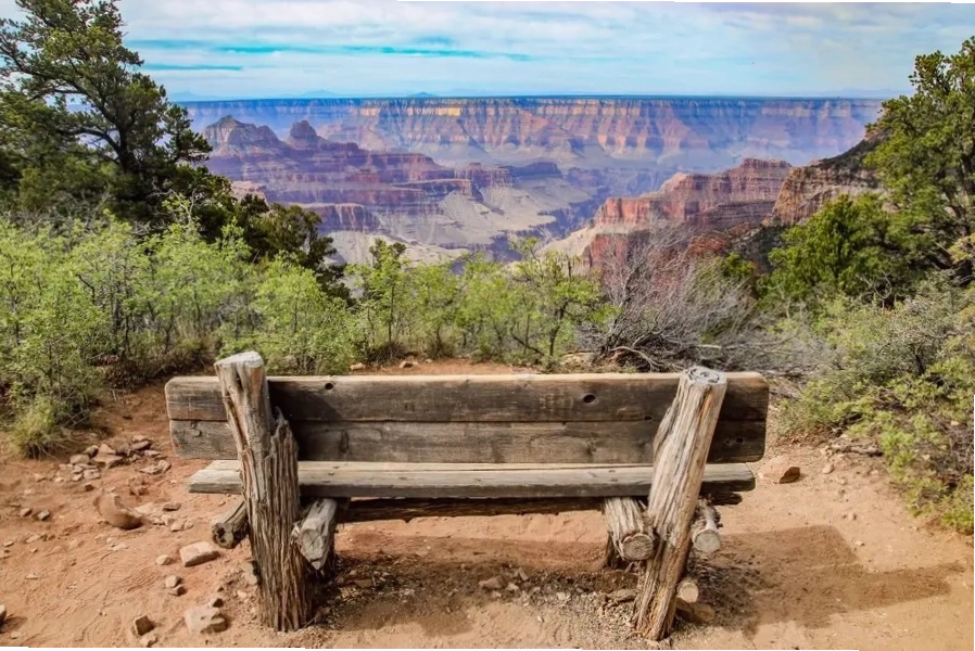 Khung cảnh Grand Canyon vào mùa xuân với cây cối xanh tươi