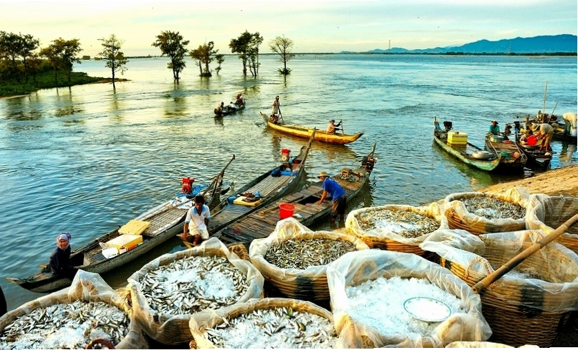 Khung cảnh mênh mông của mùa nước nổi miền Tây