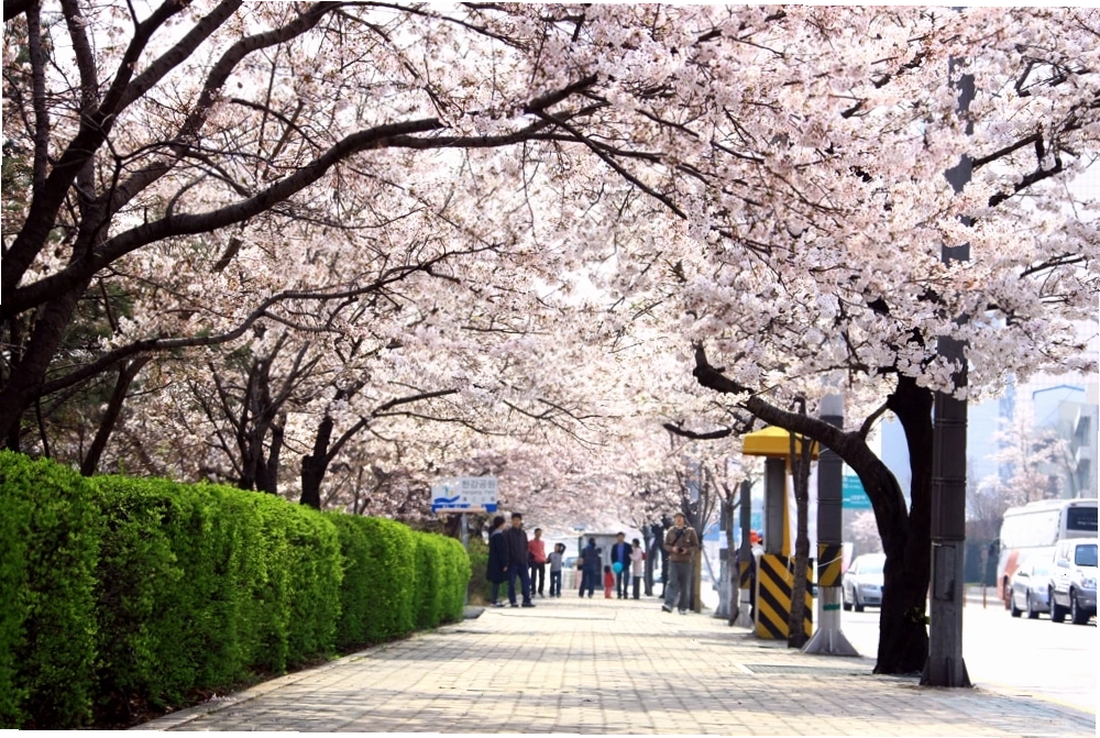 Khung cảnh nhộn nhịp tại công viên sông Hàn Seoul