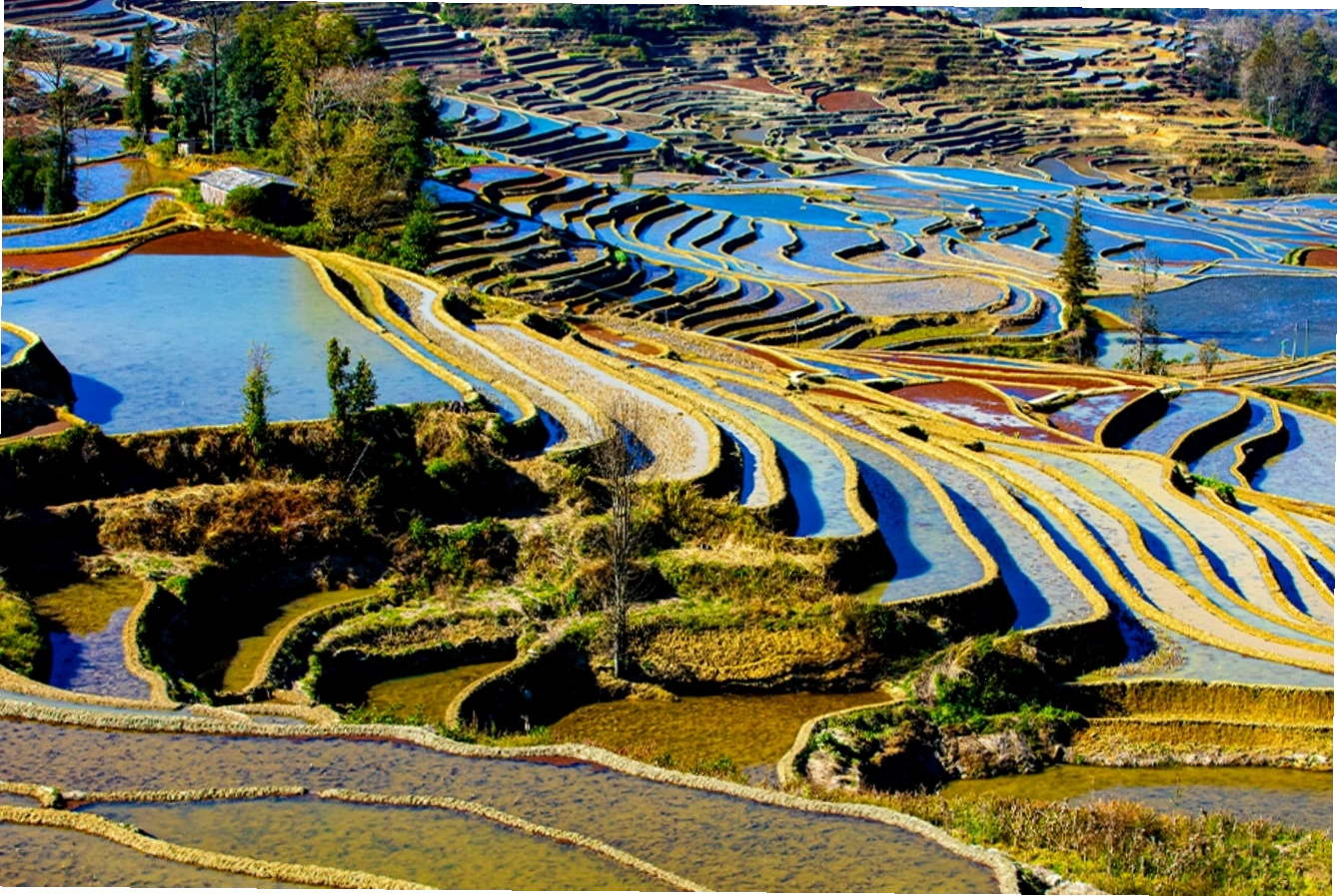 Khung cảnh thiên nhiên tuyệt đẹp tại ruộng bậc thang Nguyên Dương
