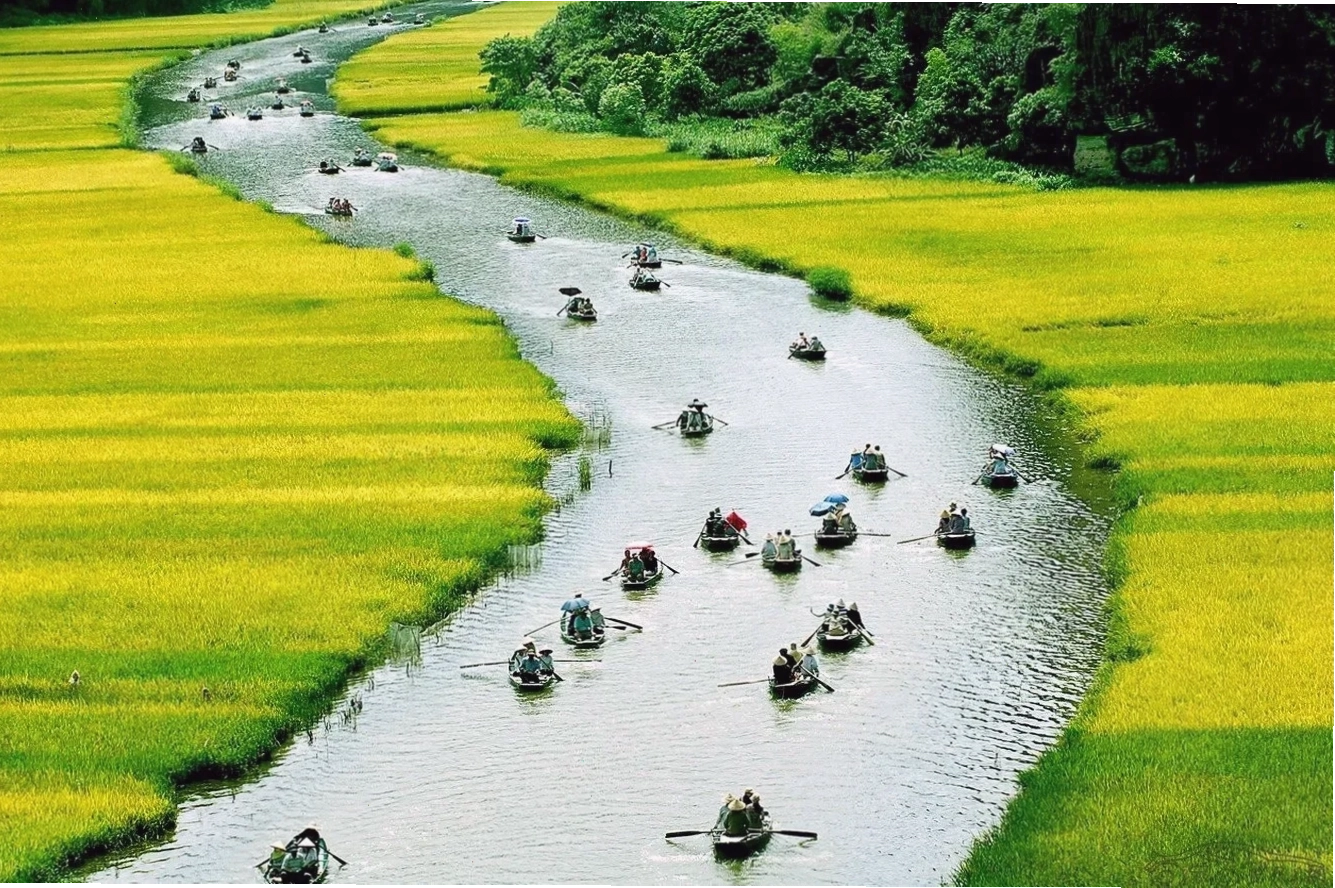 Khung cảnh thơ mộng vào mùa xuân tại Nhật Bản