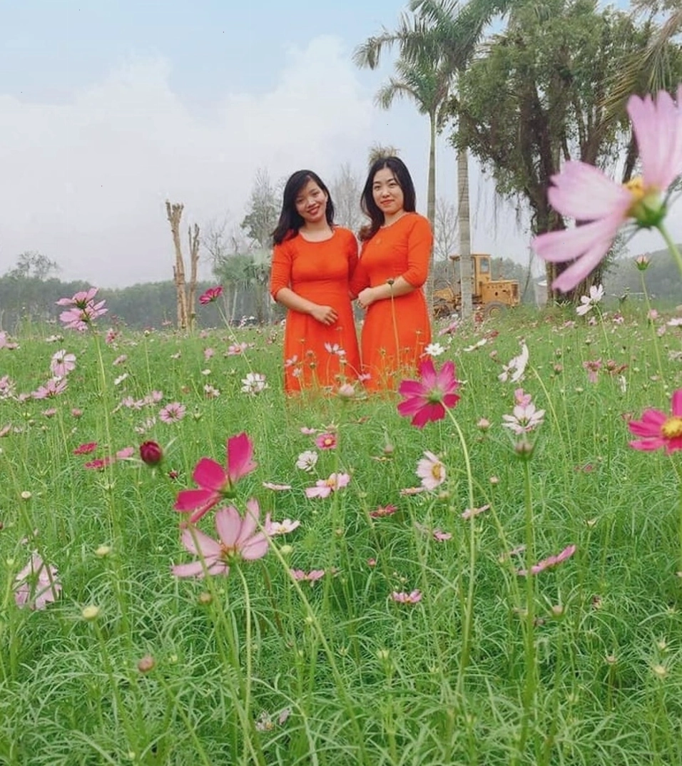 Khung cửa trái tim lãng mạn tại Thung lũng hoa Phủ Quỳ