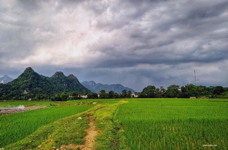 Khuôn viên xanh mát của Serena Resort Kim Bôi