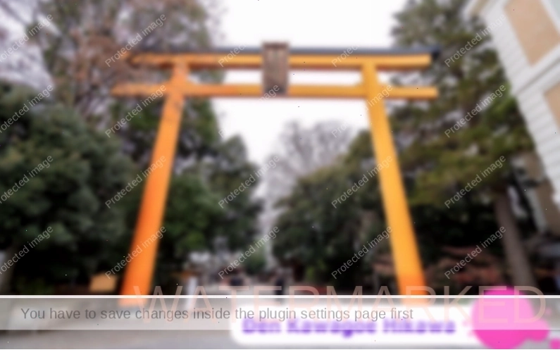 Kiến trúc cổ kính của Đền Kawagoe Hikawa, Saitama