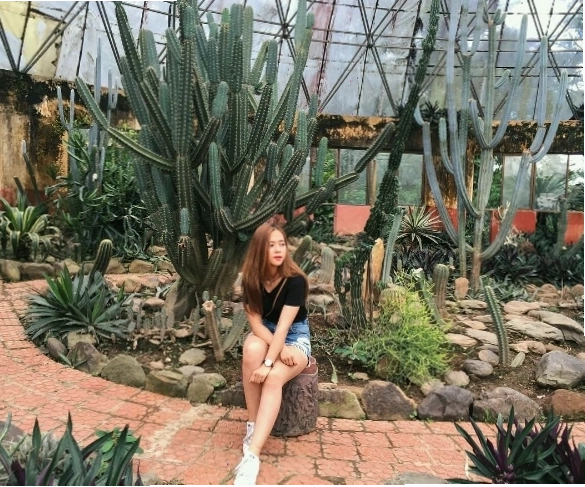 Kinh nghiệm đi vườn xương rồng Ba Vì - Địa điểm thu hút các bạn trẻ