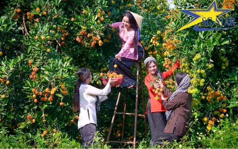Kinh nghiệm du lịch vườn trái cây miền Tây Nam Bộ
