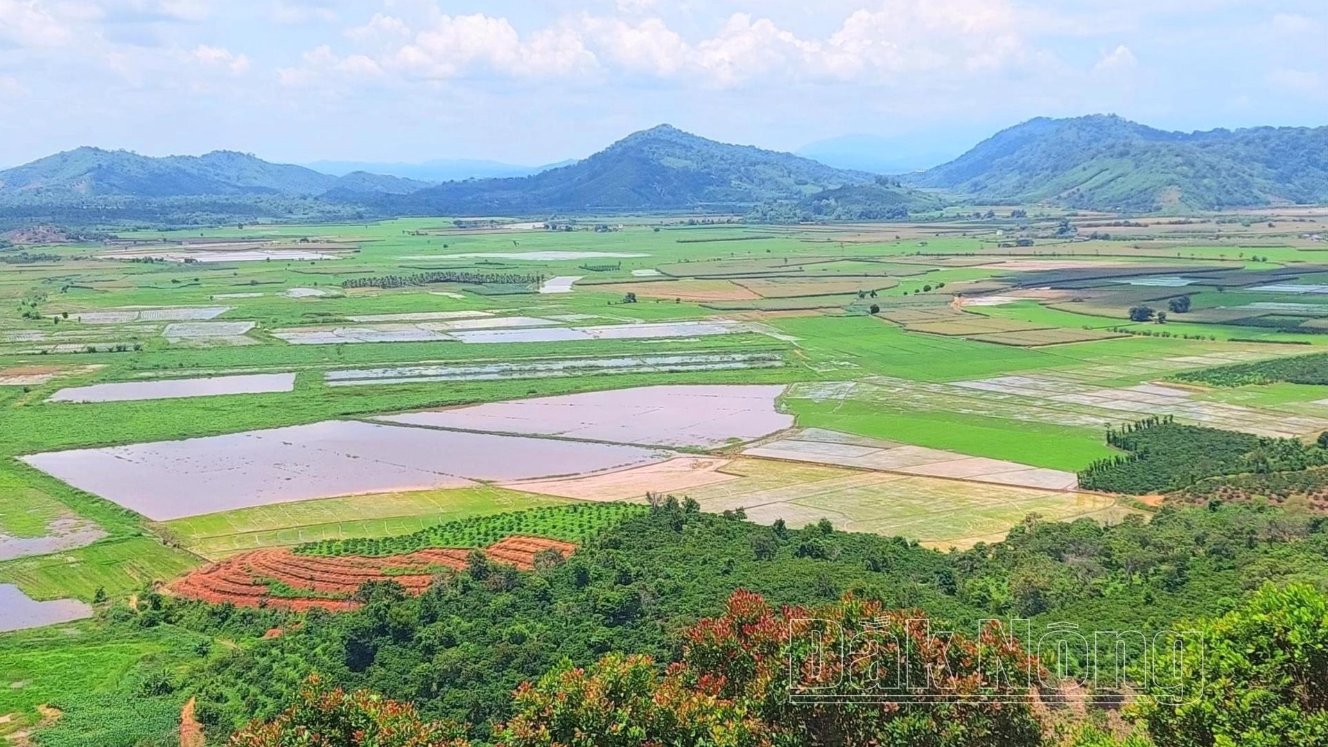 Krông Nô Đắk Nông: 37 Năm Xây Dựng và Phát Triển Vùng Đất Anh Hùng