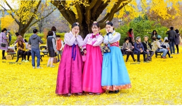Lá vàng lá đỏ mùa thu Hàn Quốc